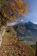 20061105_122631 Sentiero panoramico.jpg